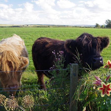 Bed and Breakfast Carrig Lios Thurso Exterior foto